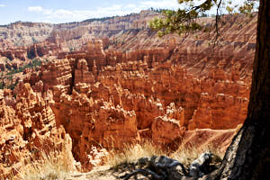 USA Bryce Canyon<br>NIKON D4, 32 mm, 140 ISO,  1/320 sec,  f : 7.1 